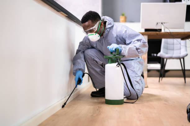 Best Residential Pest Control  in Avondale, AZ